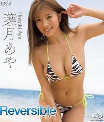 可逆的侦探