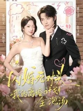 闪婚死对头,我的离婚计划全泡汤