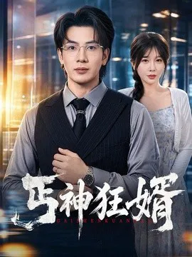 丐神狂婿