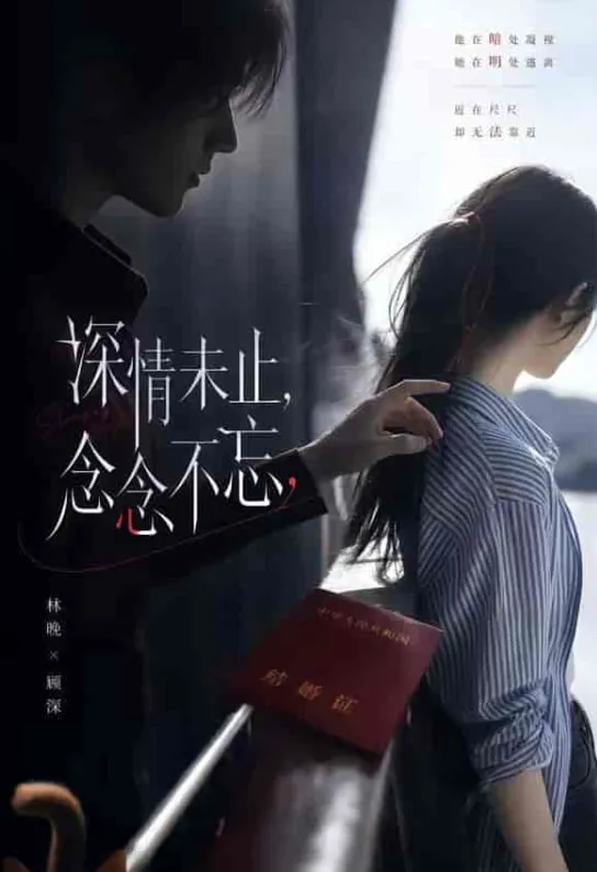 深情未止,念念不忘