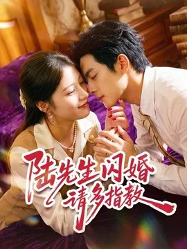 陆先生闪婚请多指教
