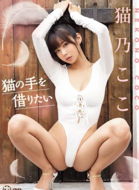 猫の手を借りたい 猫乃ここ