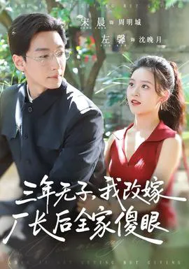 三年无子,我改嫁厂长后全家傻眼了