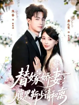 替嫁娇妻:腹黑靳少请和离