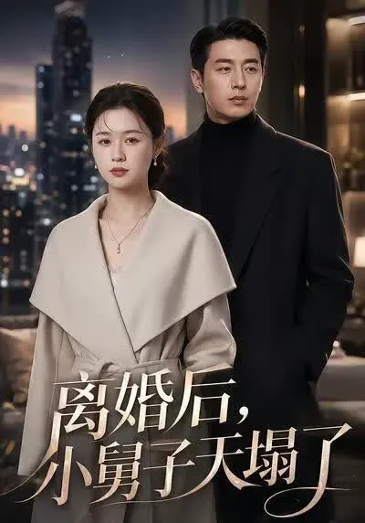 离婚后,小舅子天塌了