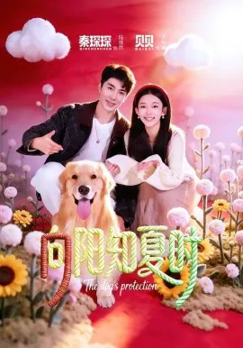 向阳知夏时