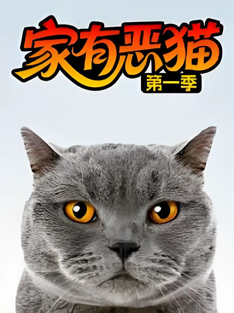 家有恶猫 第一季