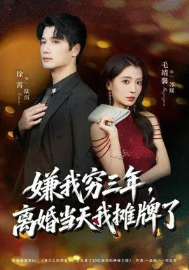 嫌我穷三年,离婚当天我摊牌了