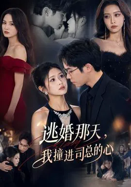 逃婚那天,我撞进司总的心