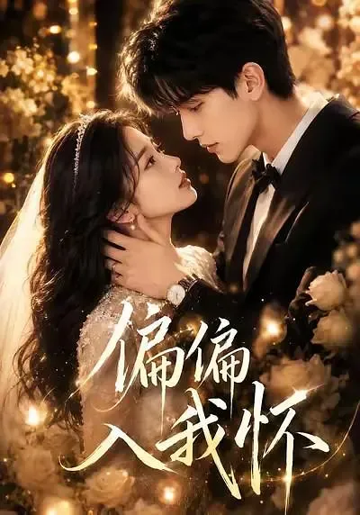 偏偏入我怀