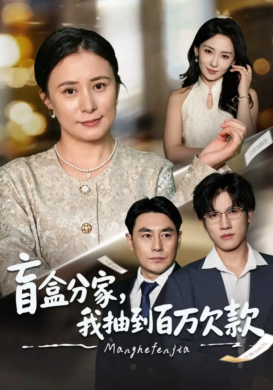 盲盒分家,我抽到百万欠款