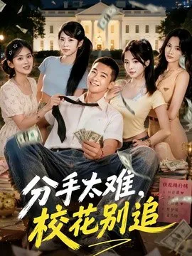 分手太难,校花别追