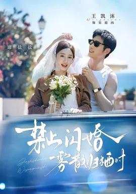 禁止闪婚,雾散归栖时