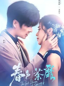 春色荼靡