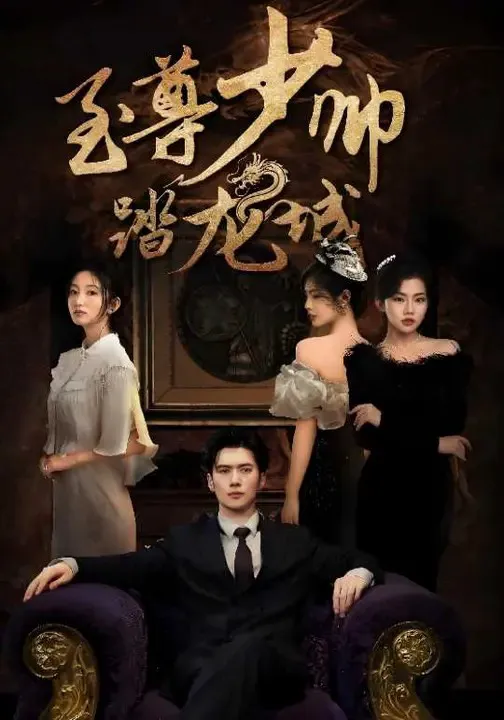 至尊少帅踏龙城