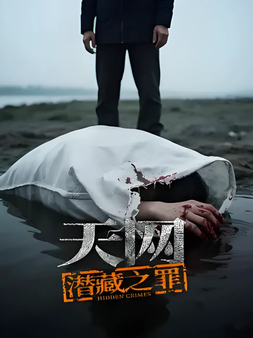 天网:潜藏之罪