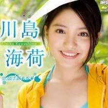 全新“风”向的海荷