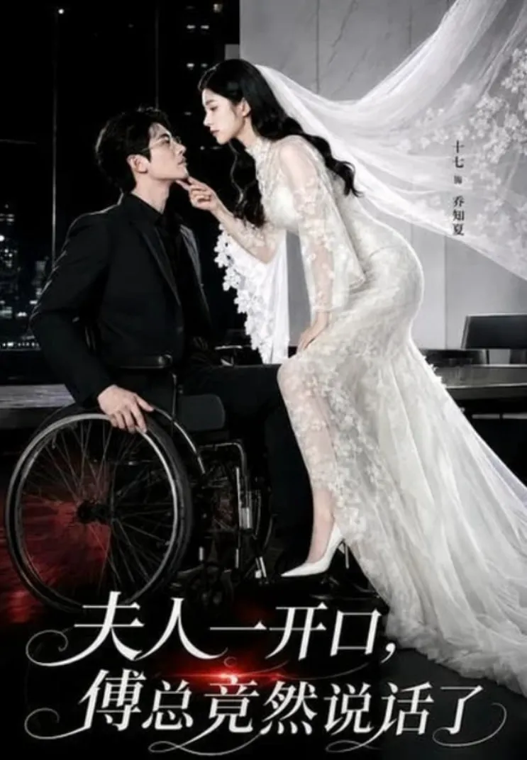 夫人一开口,傅总竟然说话了