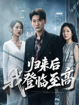 归来后我登临至高