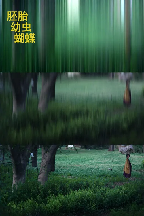 胚胎，幼虫，蝴蝶