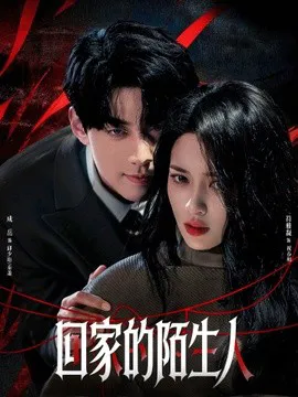 回家的陌生人