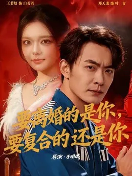 要离婚的是你,要复合的还是你