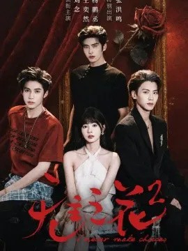 无主之花2
