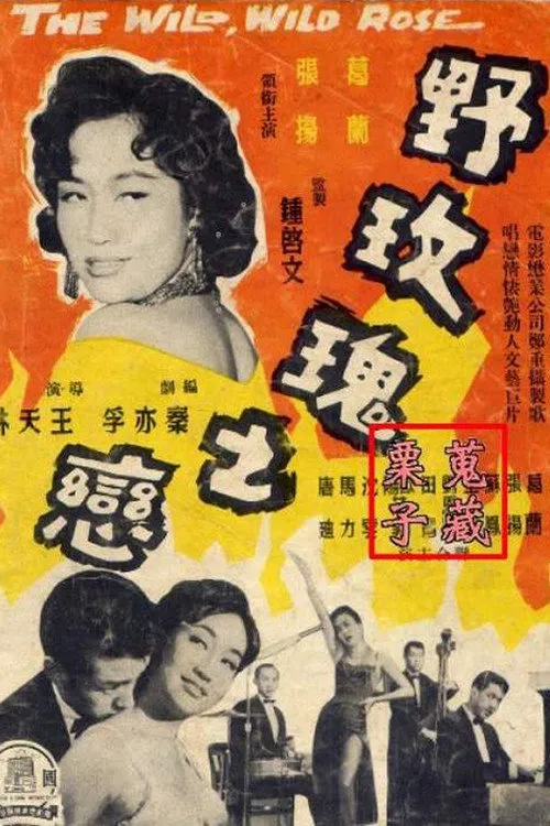 野玫瑰之恋