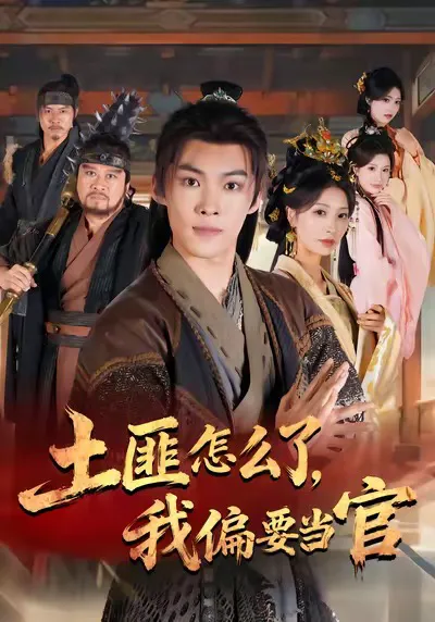 土匪怎么了,我偏要当官