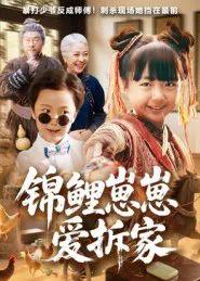 锦鲤崽崽爱拆家