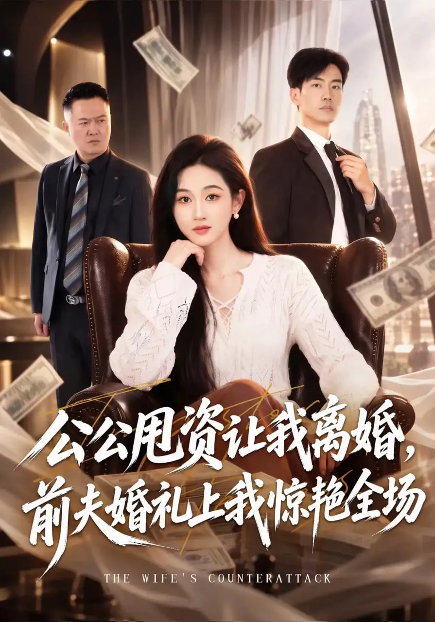 公公甩资让我离婚,前夫婚礼上我惊艳全场