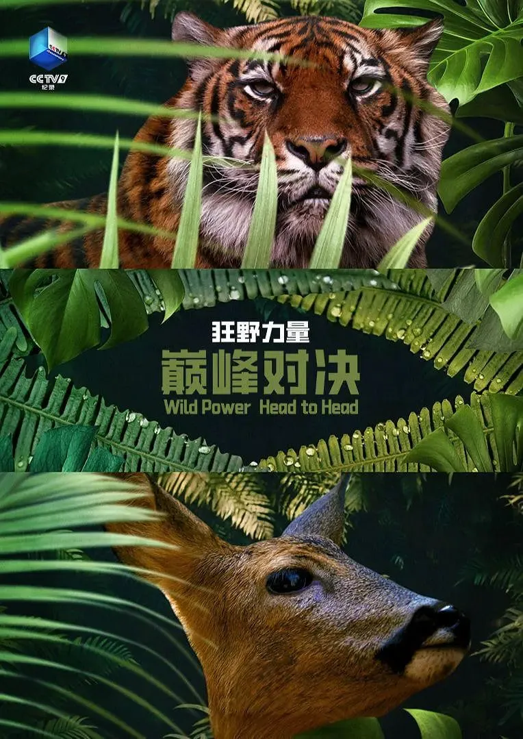 狂野的力量:巅峰对决 第一季