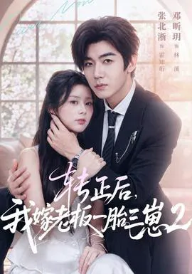 转正后,我嫁老板一胎三崽第二部