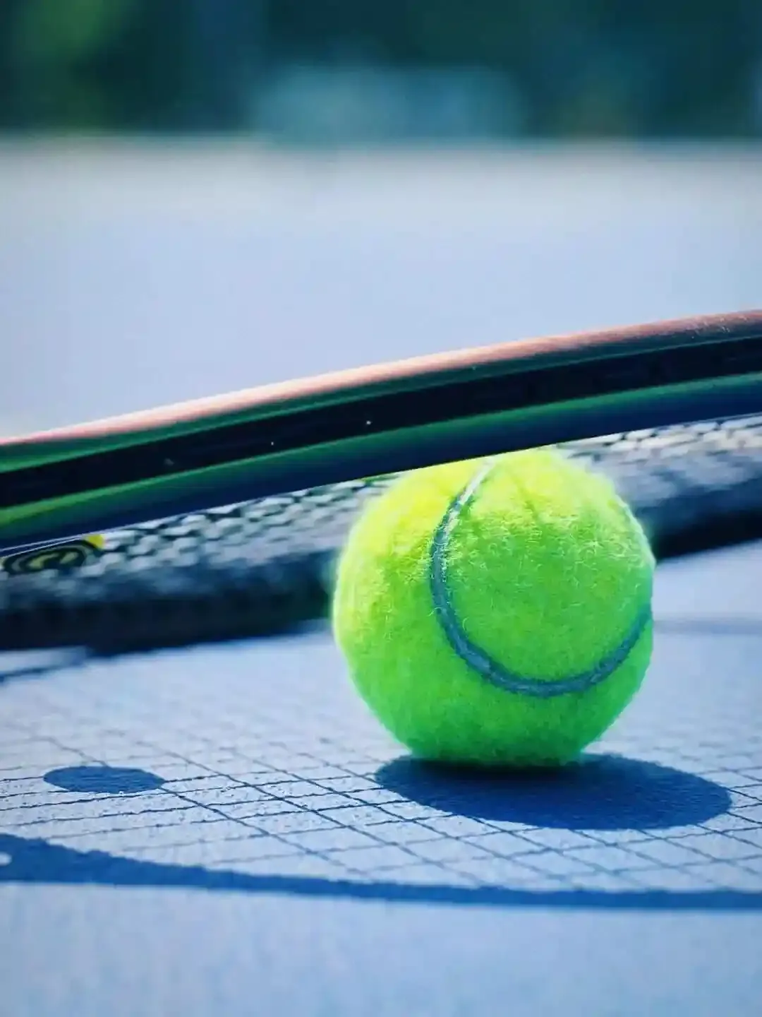 WTA500华盛顿站女单第二轮:施耐德VS波塔波娃