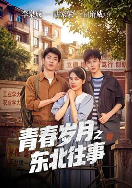 青春岁月之东北往事