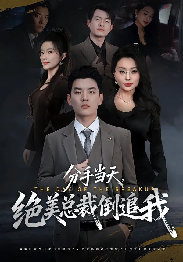 分手当天,绝美总裁倒追我