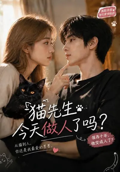 猫先生今天做人了吗?