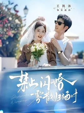 禁止闪婚,雾散归栖时