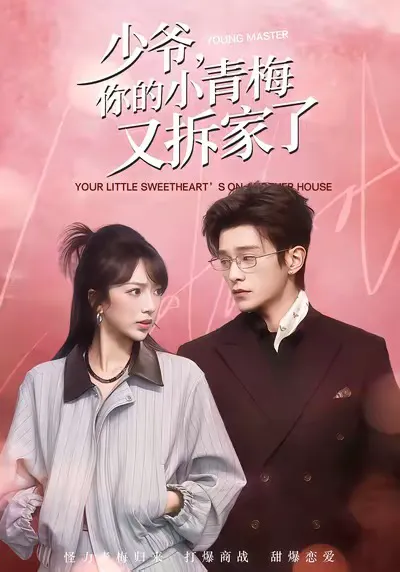 少爷,你的小青梅又拆家了