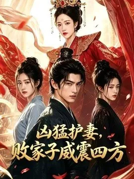 凶猛护妻,败家子威震四方