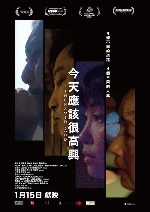 今天应该很高兴