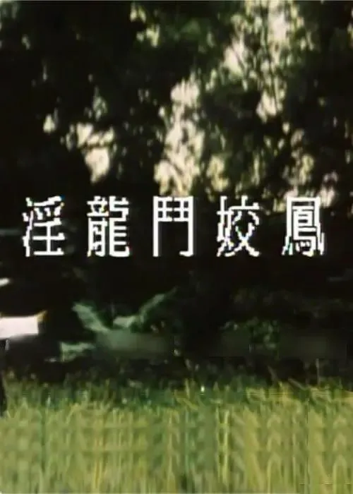 淫龙斗娇凤