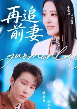 再追前妻