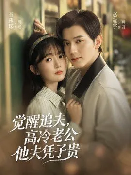 觉醒追夫,高冷老公他夫凭子贵