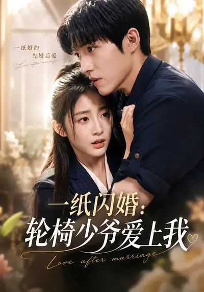 一纸闪婚:轮椅少爷爱上我