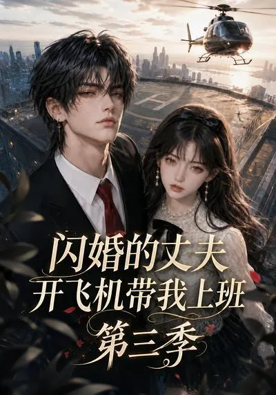 闪婚的丈夫开飞机带我上班第三季