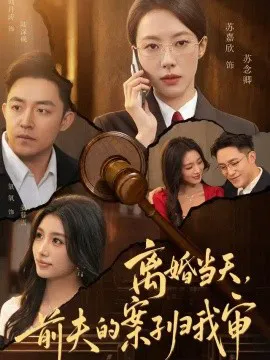 离婚当天,前夫的案子归我审