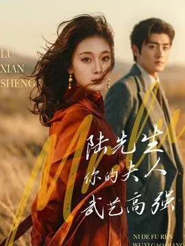 陆先生,你的夫人武艺高强