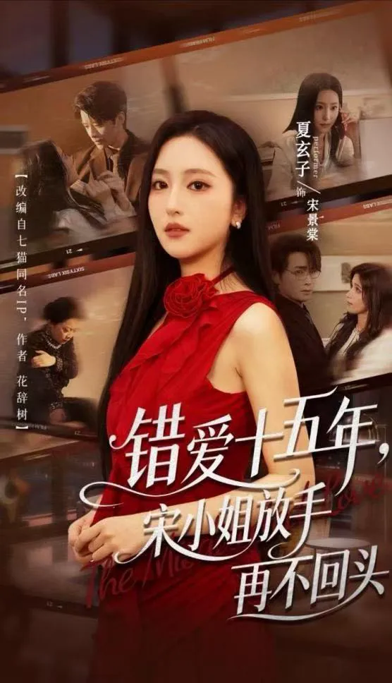 错爱十五年,宋小姐放手再不回头