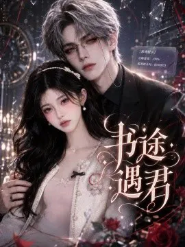书途遇君